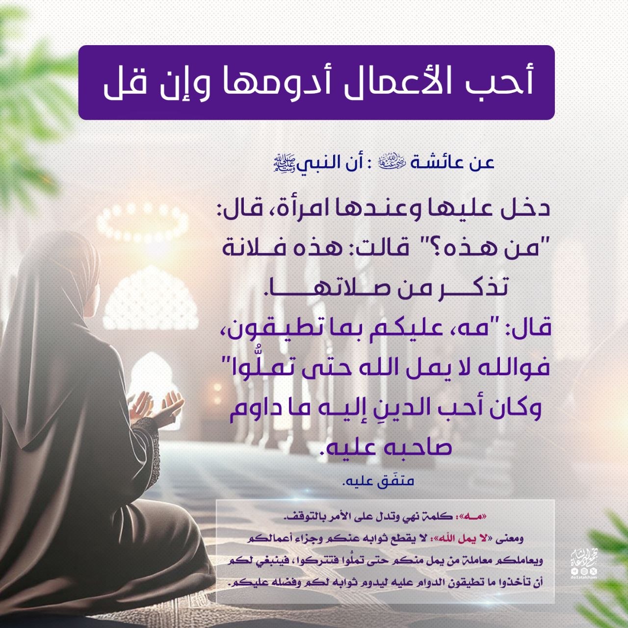 أحب الأعمال أدومها وإن قل