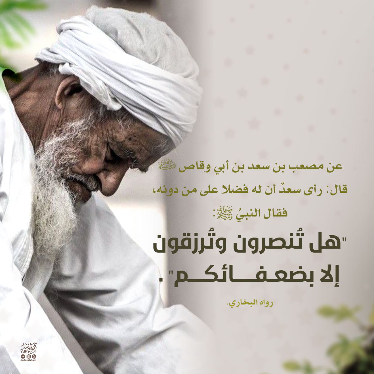 بضعفائكم تنصرون وترزقون