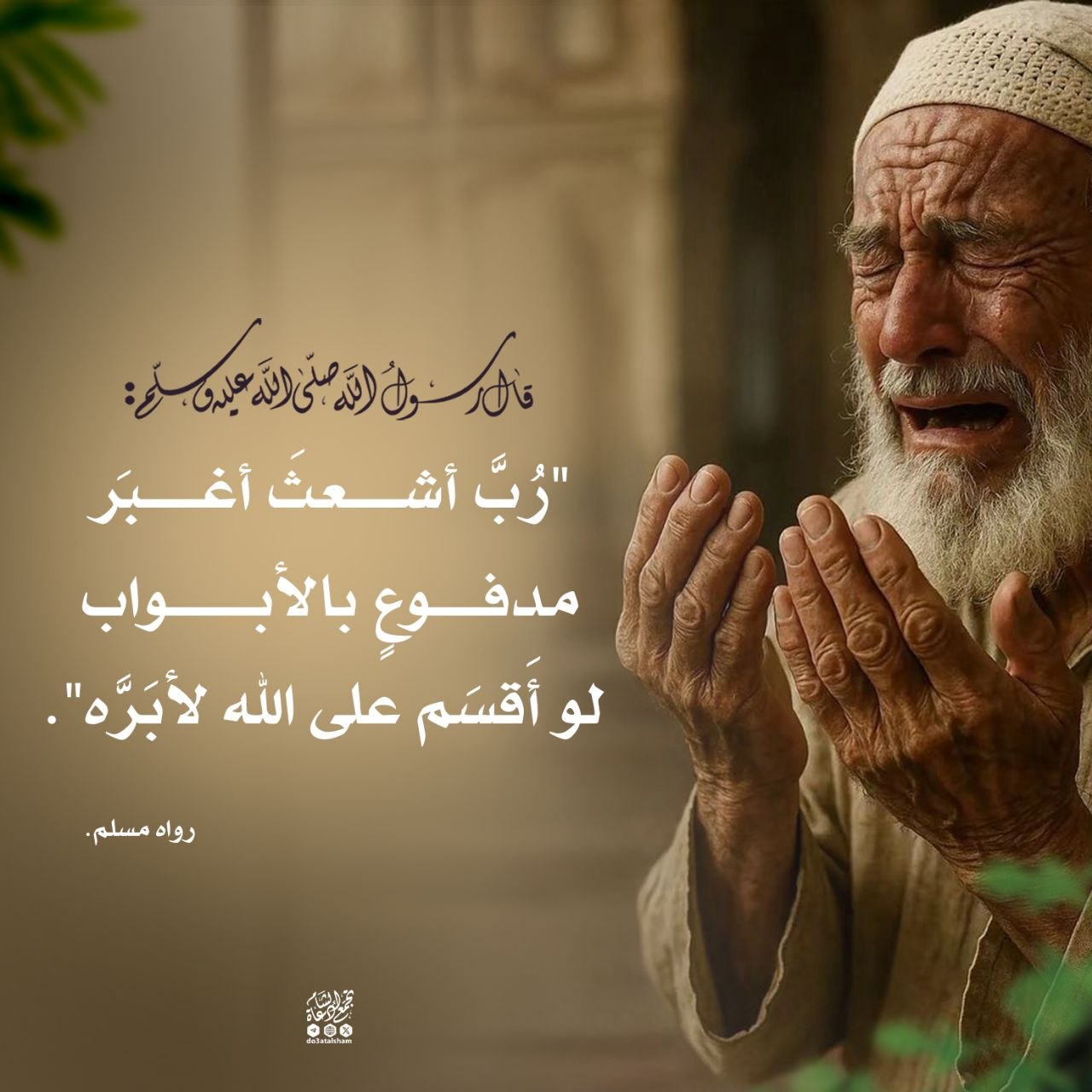 رب أشعث أغبر