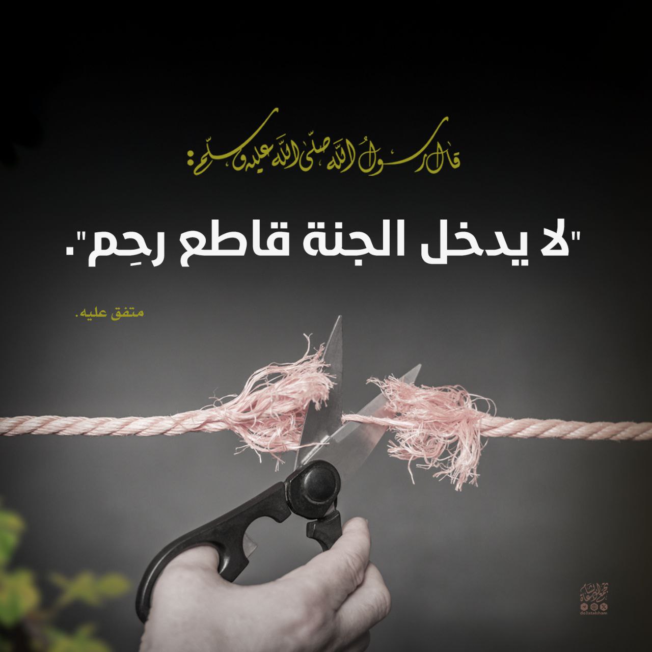 لايدخل الجنة قاطع رحم