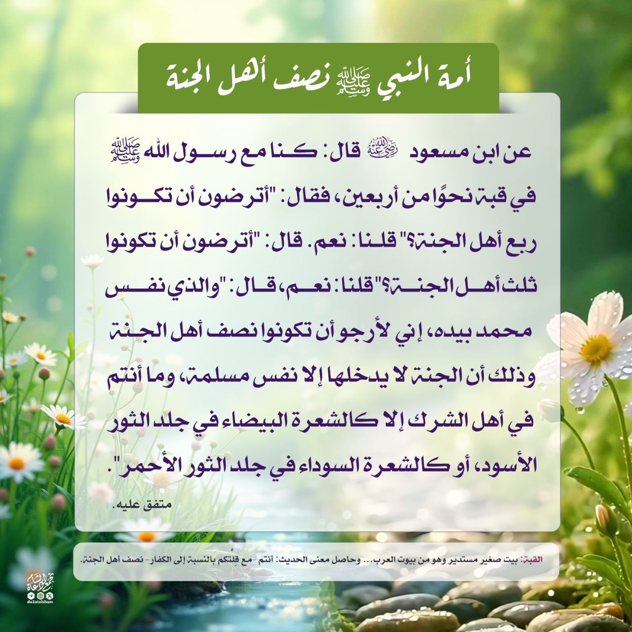 أمة النبي محمد صلى الله عليه وسلم نصف أهل الجنة