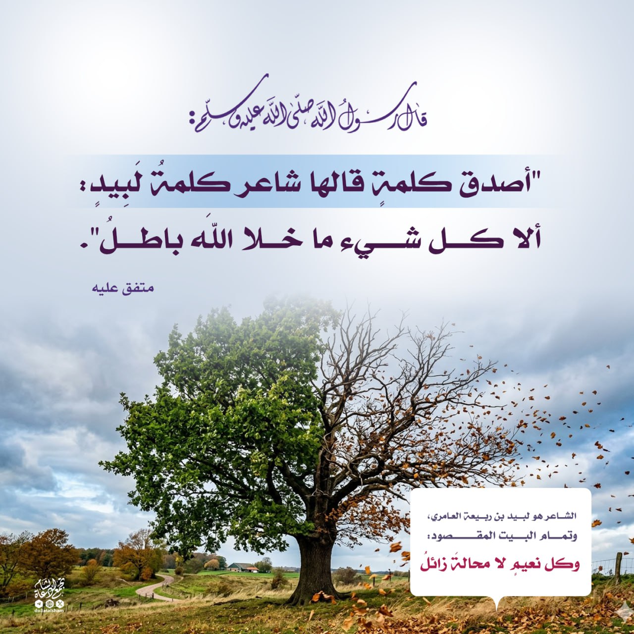 أصدق كلمة قالها شاعر