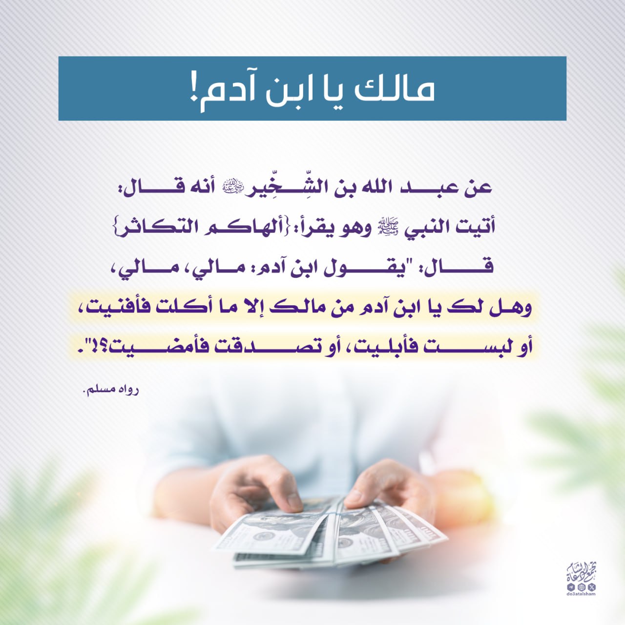 مالك يا ابن آدم