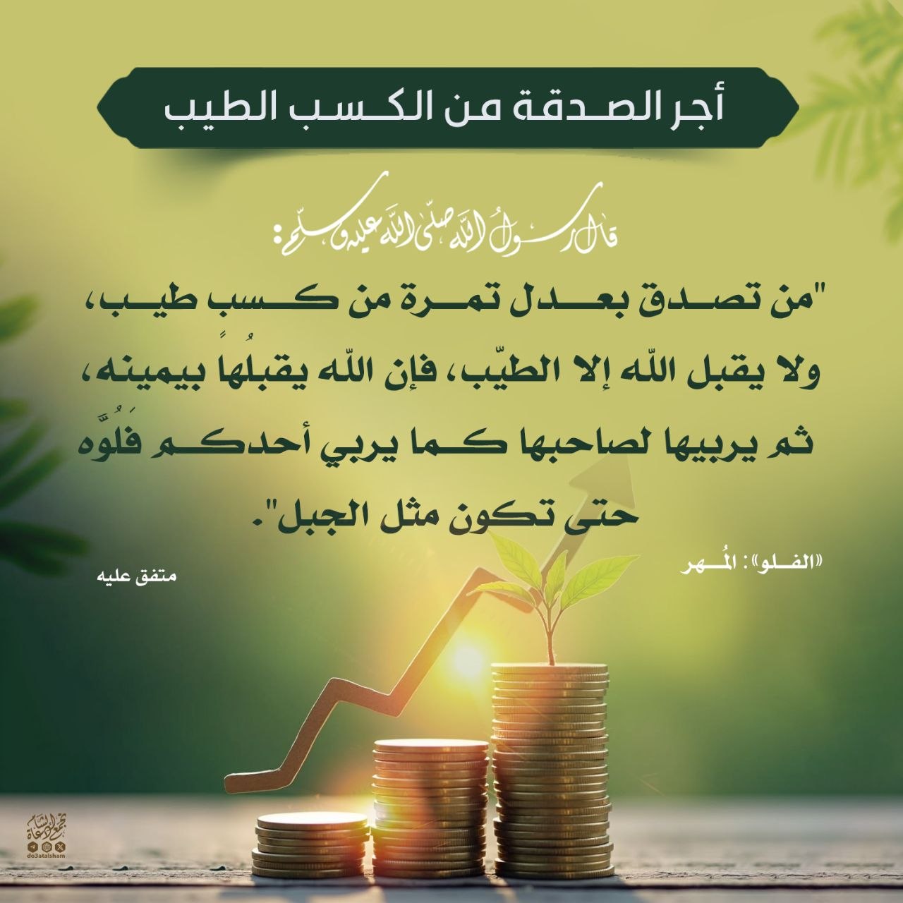 أجر الصدقة من الكسب الطيب