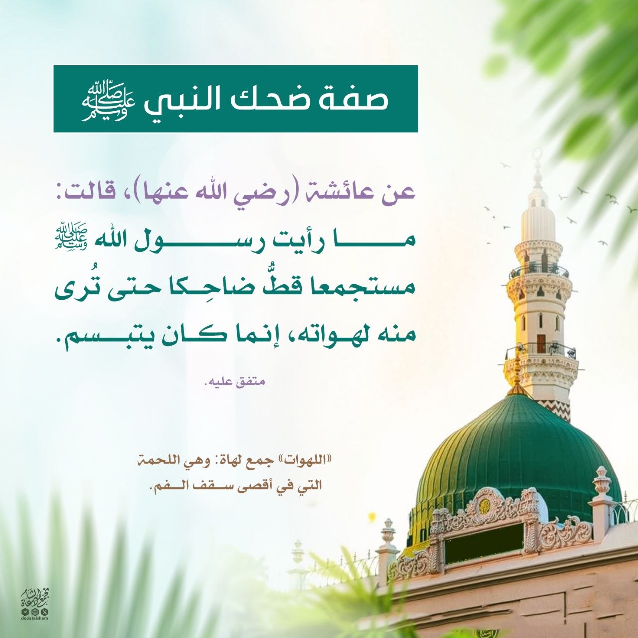 صفة ضحك النبي