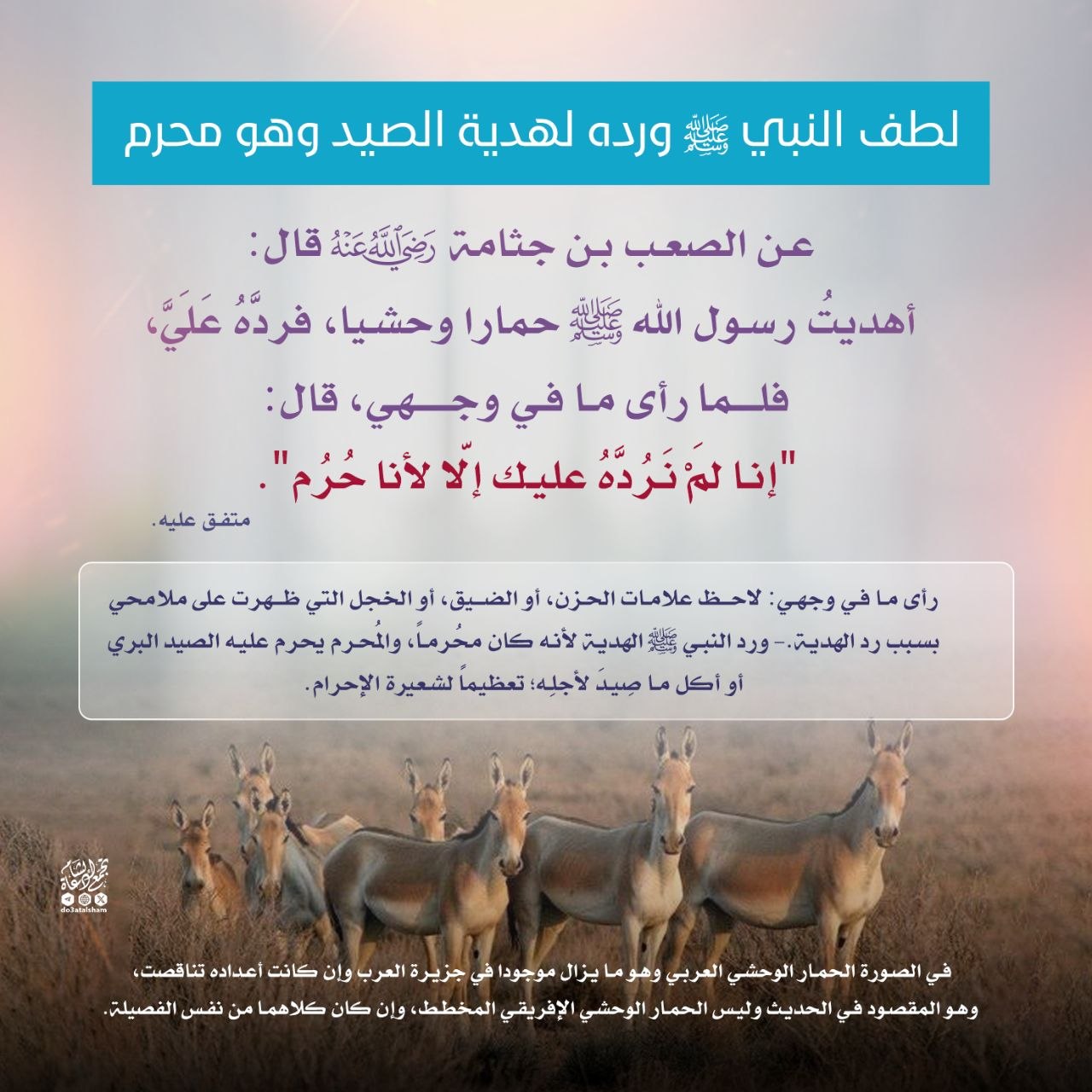 لطف النبي صلى الله عليه وسلم ورده لهدية الصيد وهو محرم