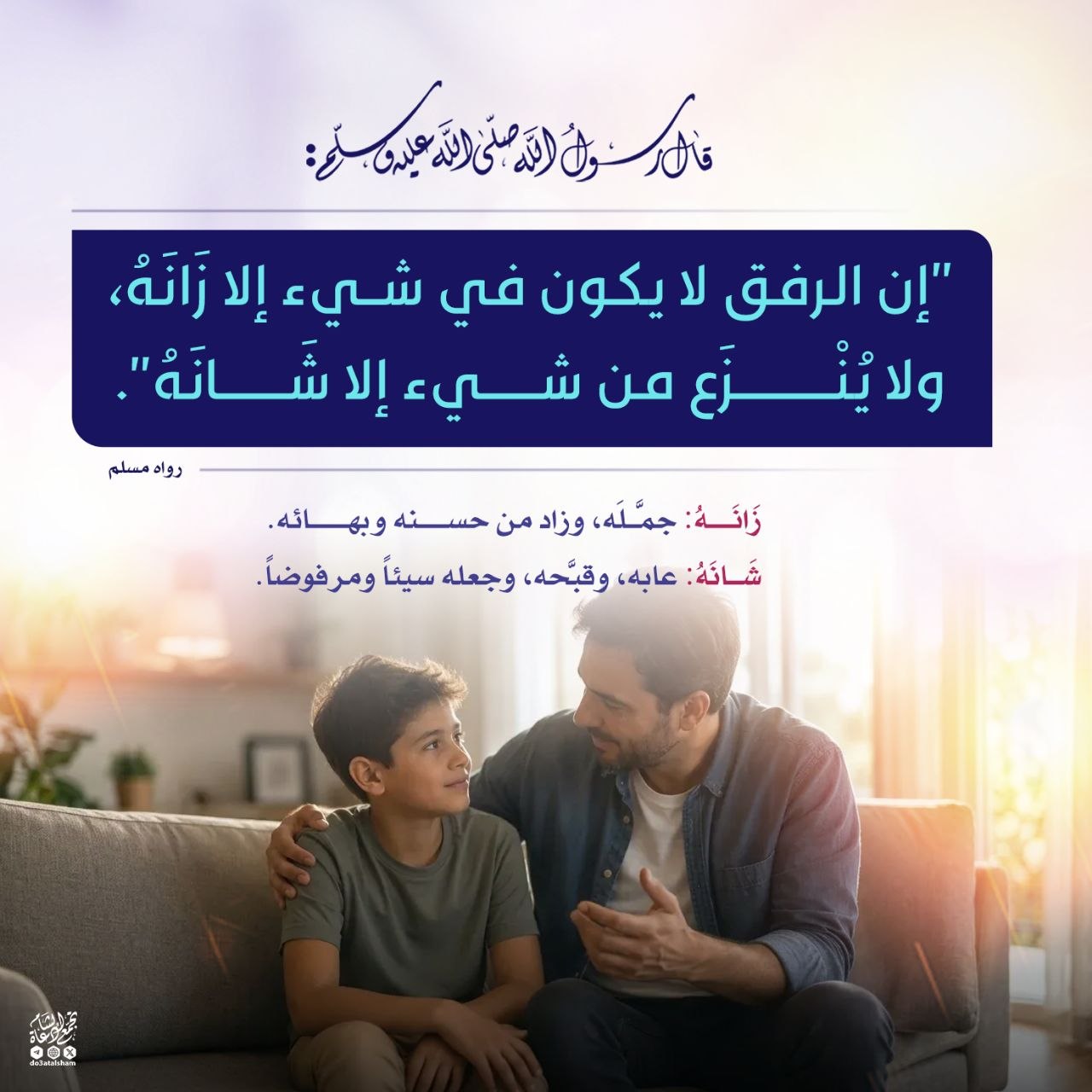 فضل الرفق