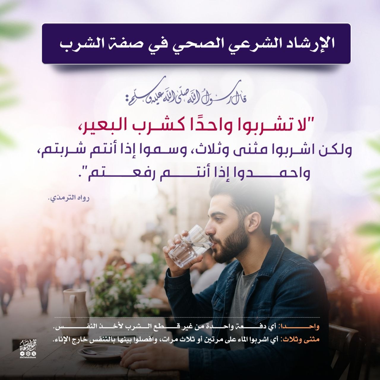 الإرشاد الشرعي الصحي في صفة الشرب