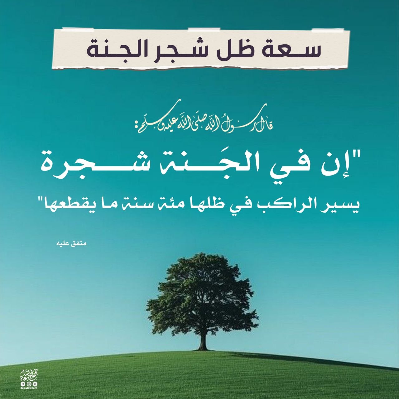 سعة ظل شجر الجنة