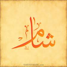 الثورة السورية - شام