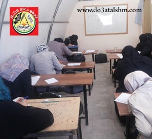 النور المبين - الدورة 36