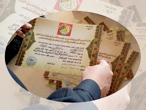 النور المبين - الدورة 10