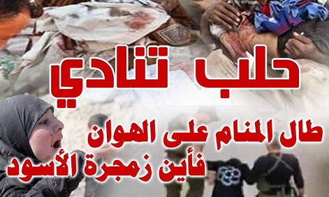مقالات - حلب تنادي