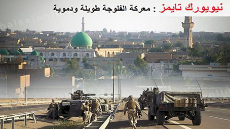 مقالات - الفلوجة