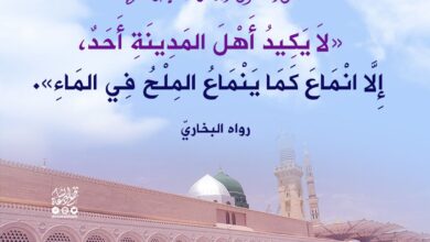 بركة مدينة رسول الله
