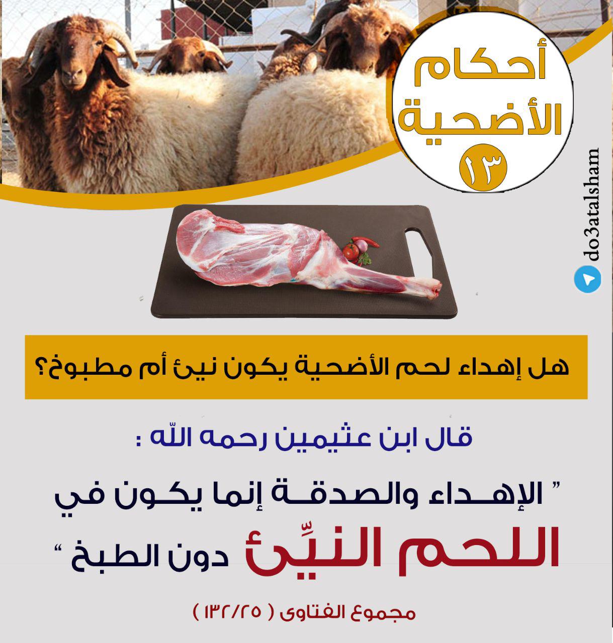 توجيهات - ساسلة أحكام الأضحية