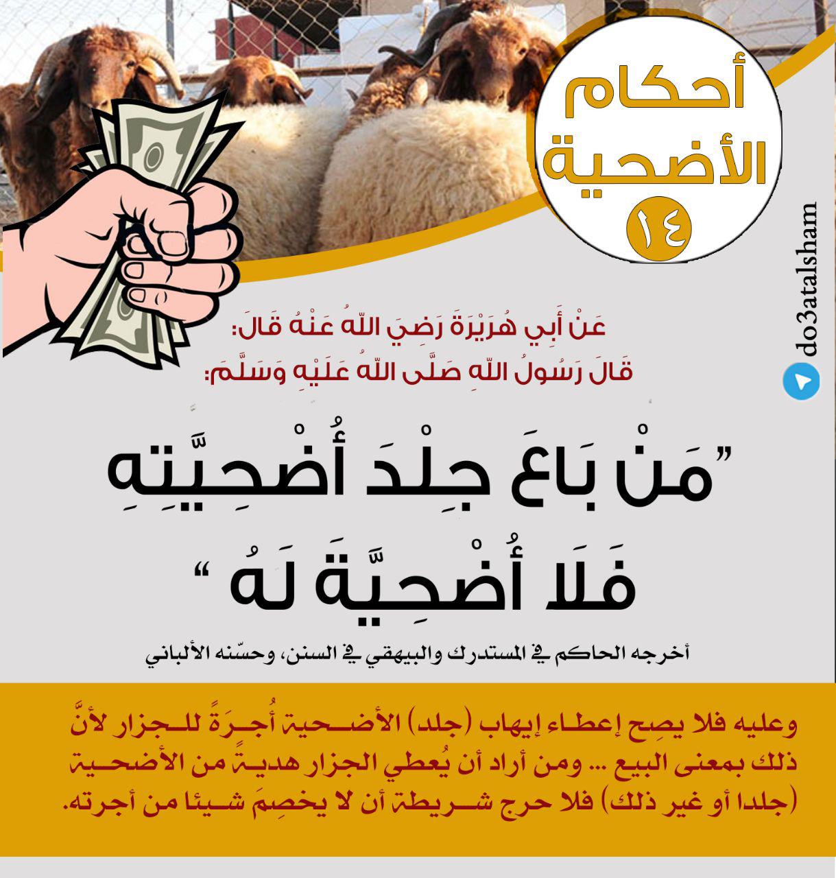 توجيهات - ساسلة أحكام الأضحية