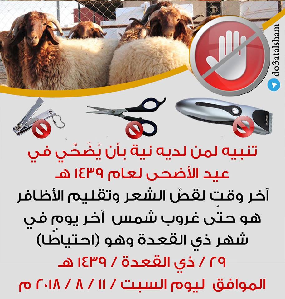 ذو الحجة - تنبيه لمن لديه نية بأن يضحي