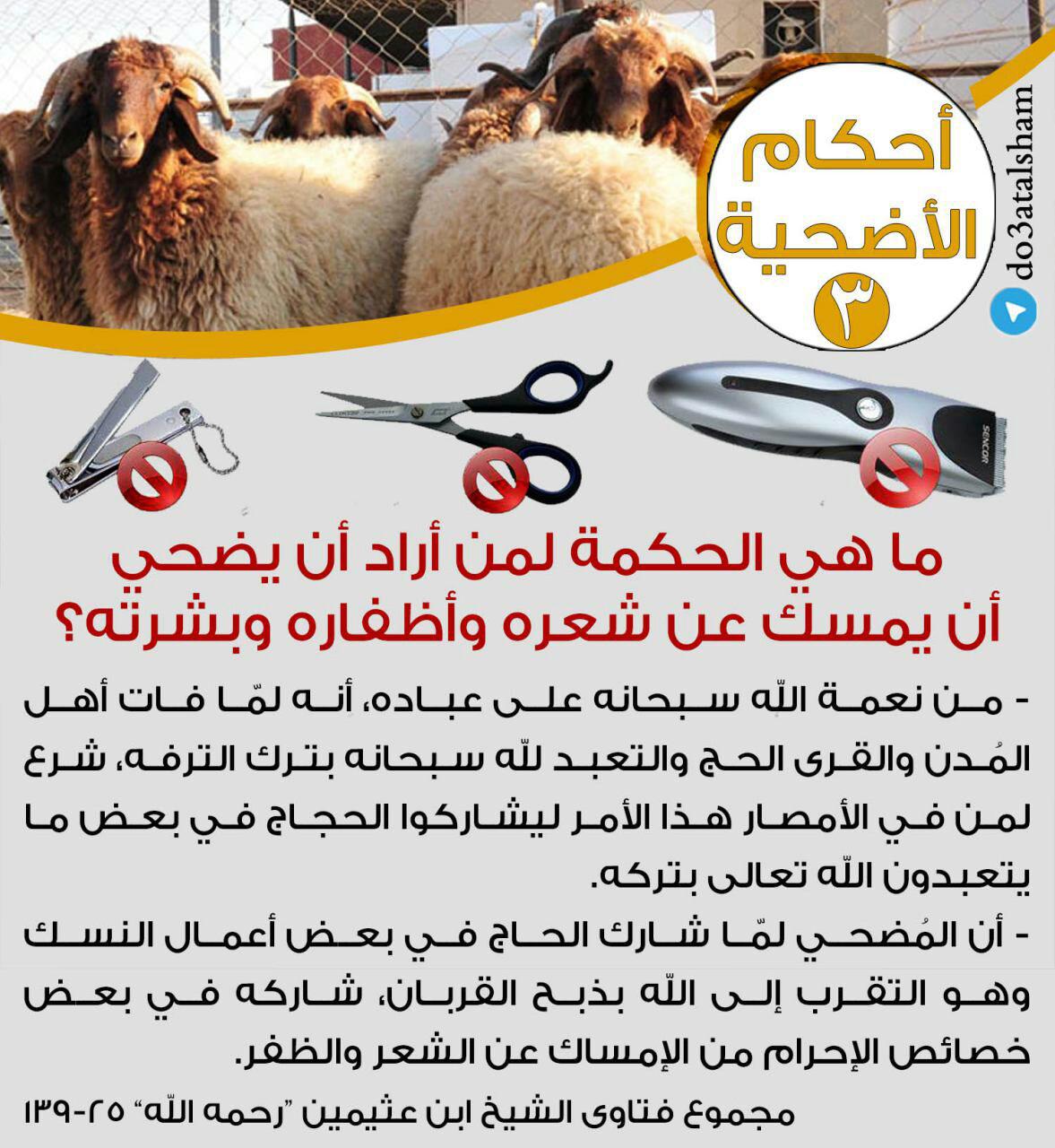 جوال - أحكام الأضحية