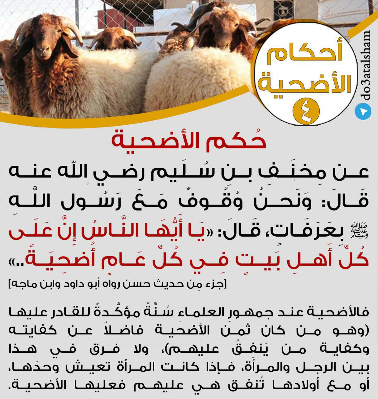 جوال - أحكام الأضحية