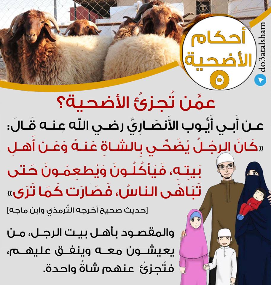 جوال - أحكام الأضحية