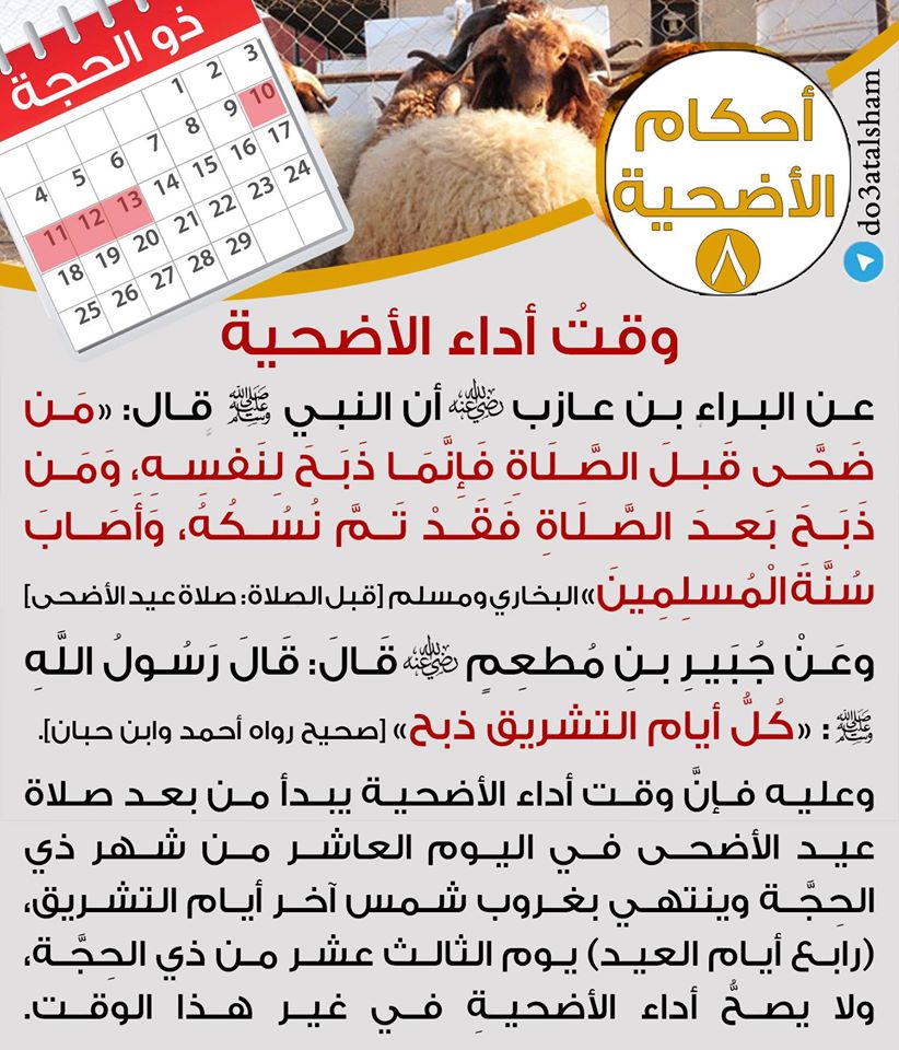 جوال - أحكام الأضحية