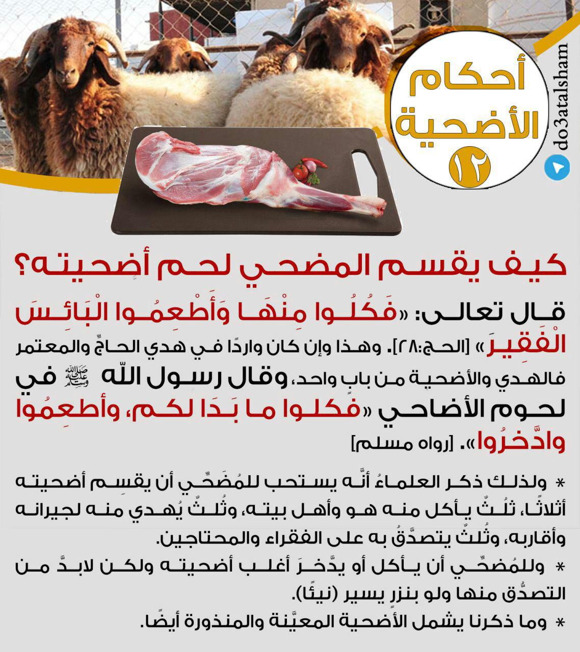 جوال - أحكام الأضحية