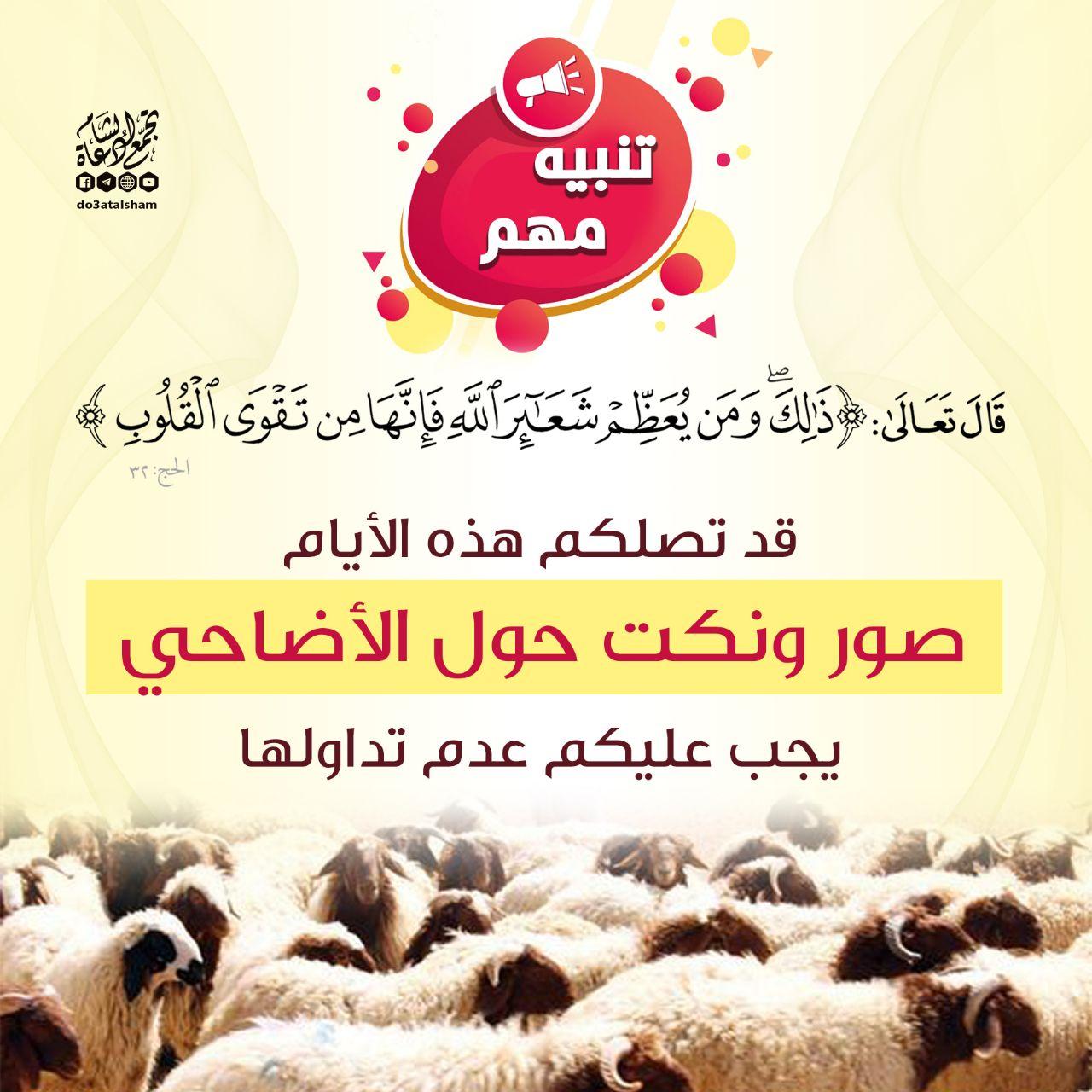 ذو الحجة - نكت حول الأضحية