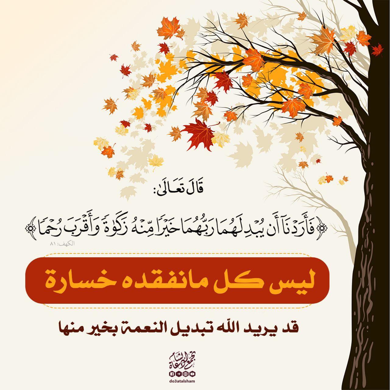 تدبرات - ليس كل ما نفقده خسارة