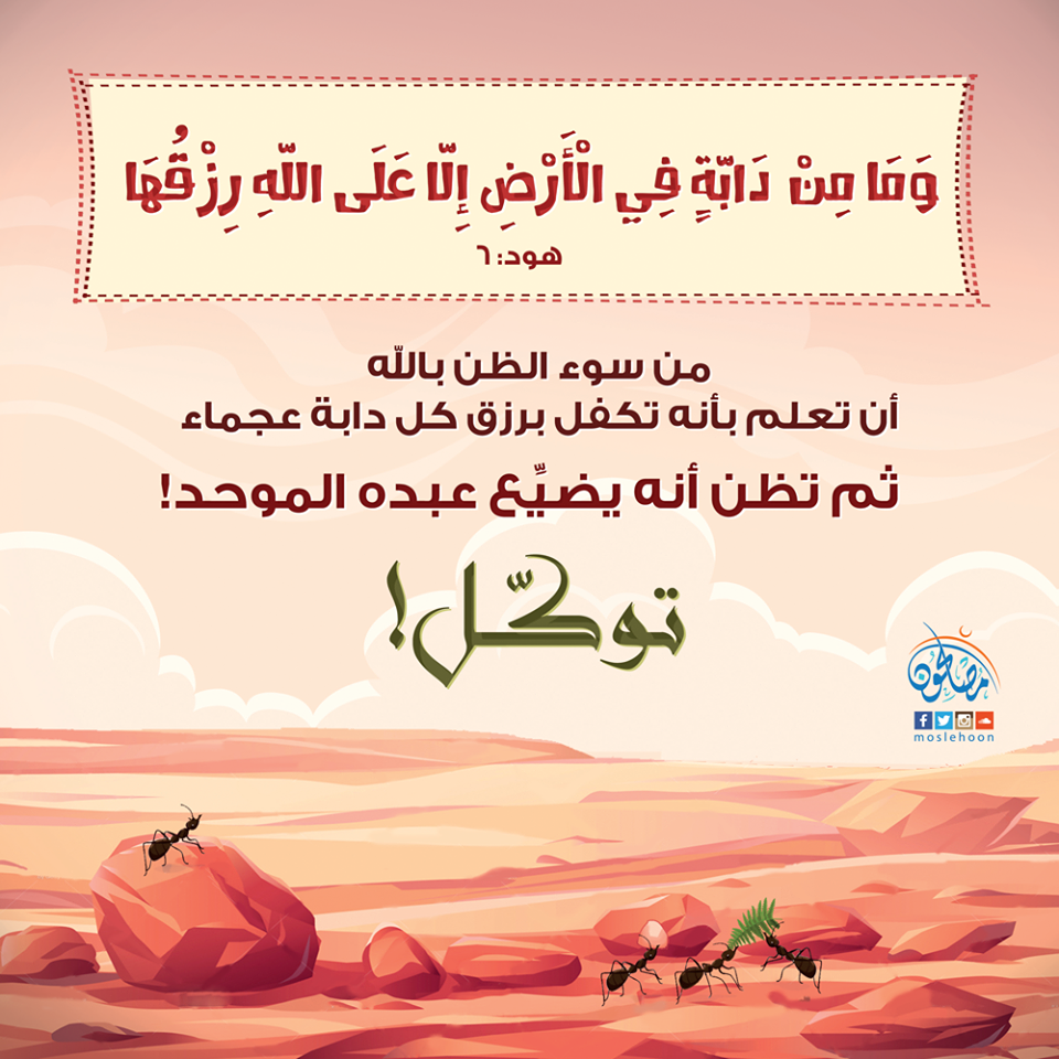 الرسائل التدبرية - وما من دابة في الأرض