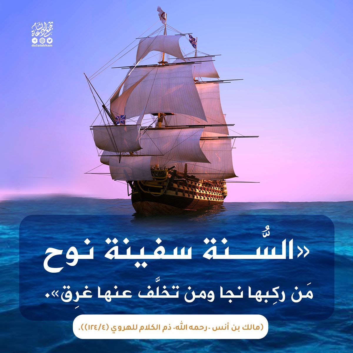 السنة سفينة النجاة