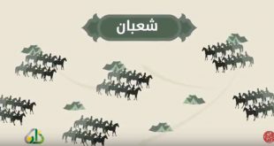 توجيهات - فضل شعبان