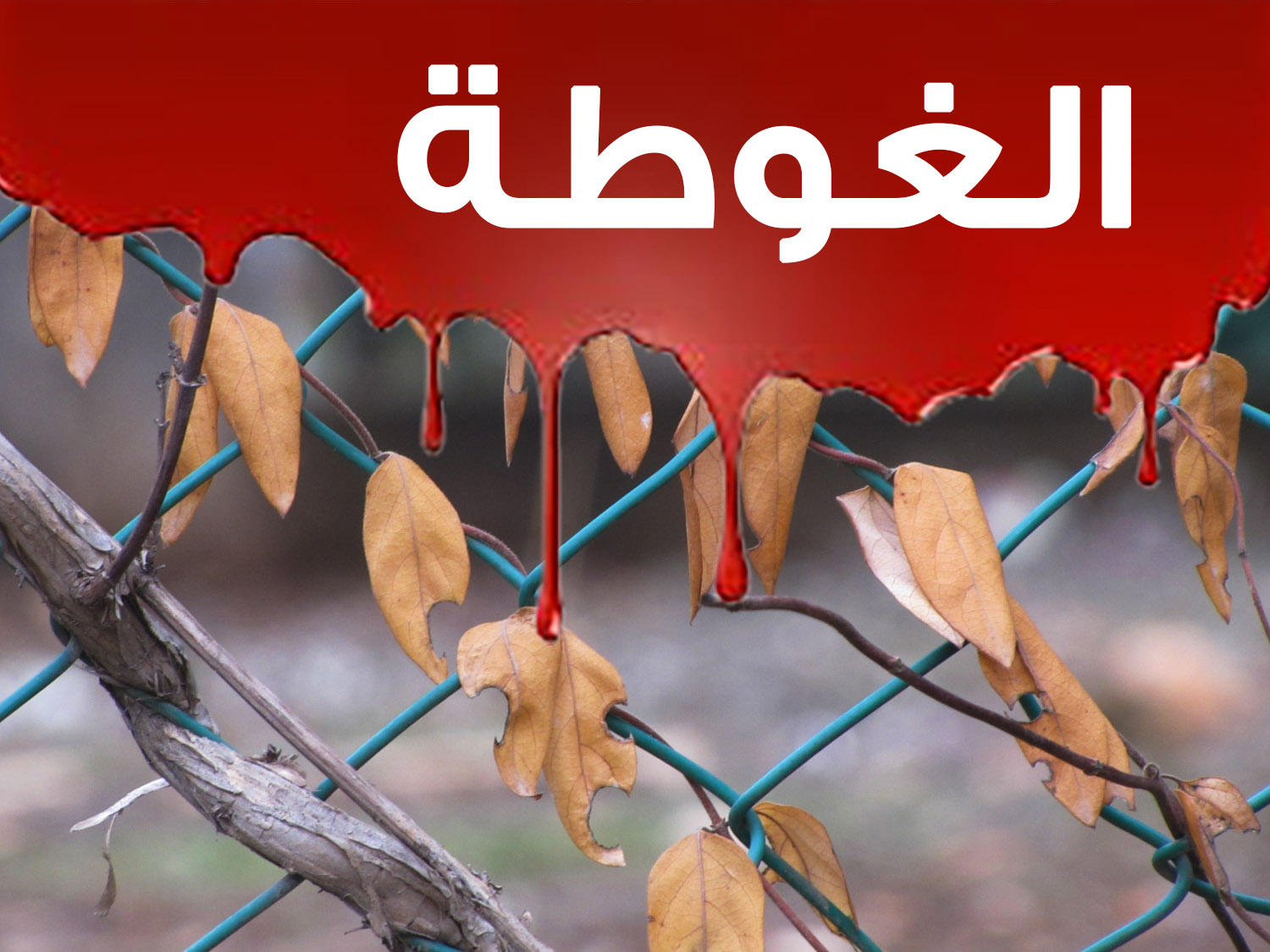 التوعية النوعية - الغوطة