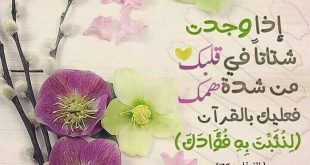 الرسائل التدبرية - لنثبت به فؤادك