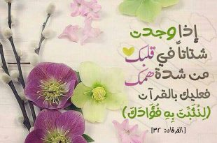 الرسائل التدبرية - لنثبت به فؤادك