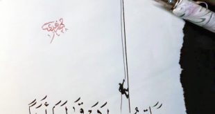 توعية نوعية - مراتب المجد