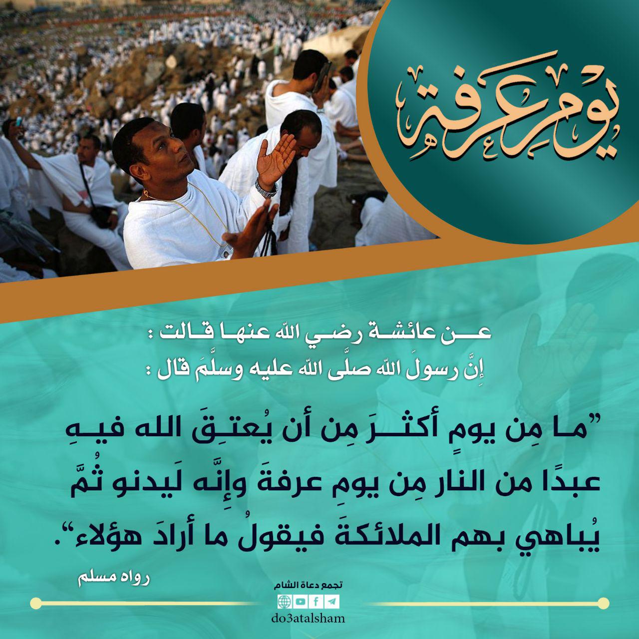 توجيهات - يوم عرفة