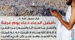 توجيهات - يوم عرفة
