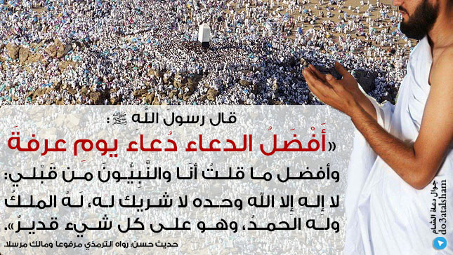توجيهات - يوم عرفة