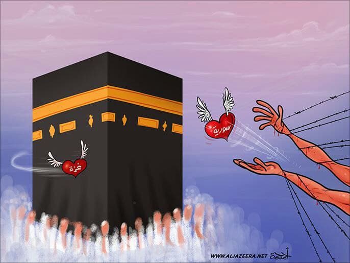 حجة القلوب إلى علام الغيوب