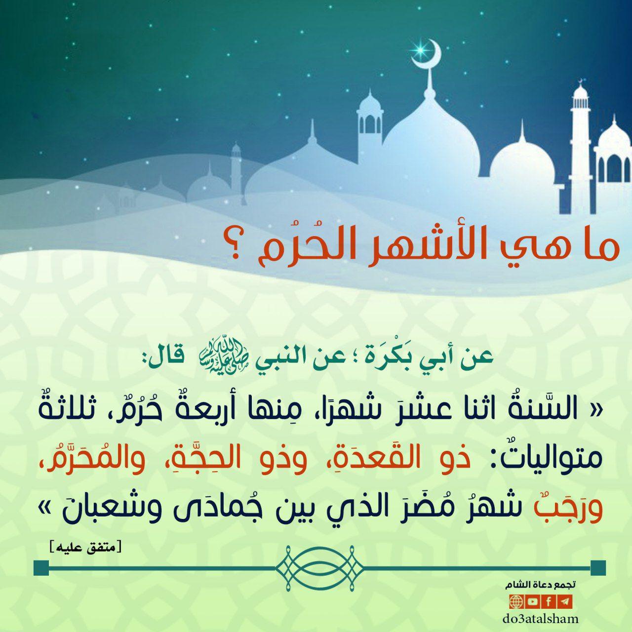 توجيهات - ما هي الأشهر الحرم؟