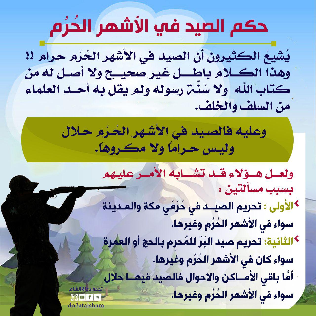 توجيهات - حكم الصيد في الأشهر الحرم