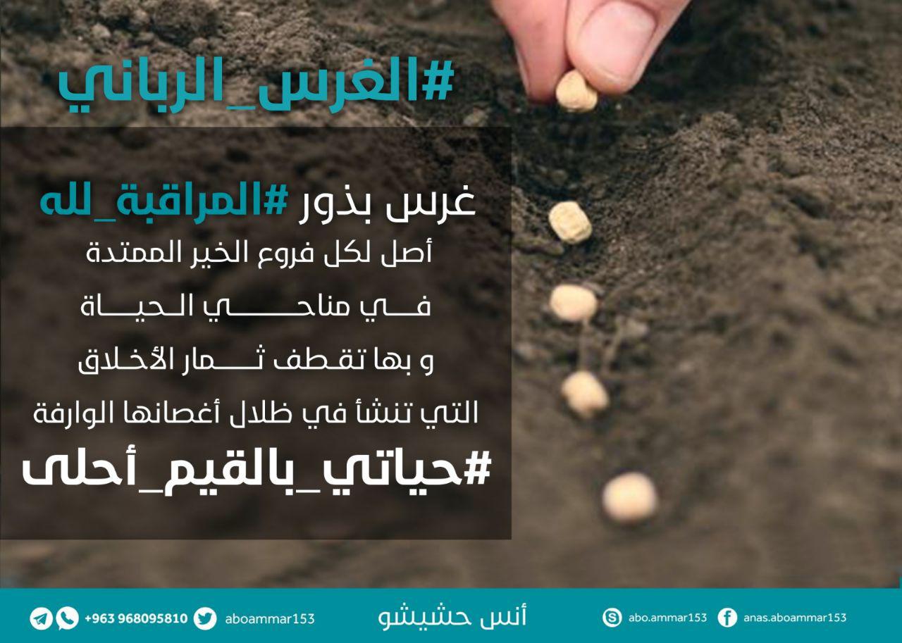 ملفات وبطاقات - الغرس الرباني