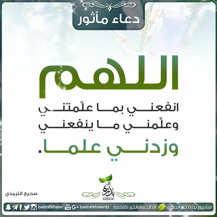 ملفات وبطاقات - زدني علما