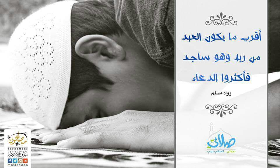 ملفات وبطاقات - وهو ساجد
