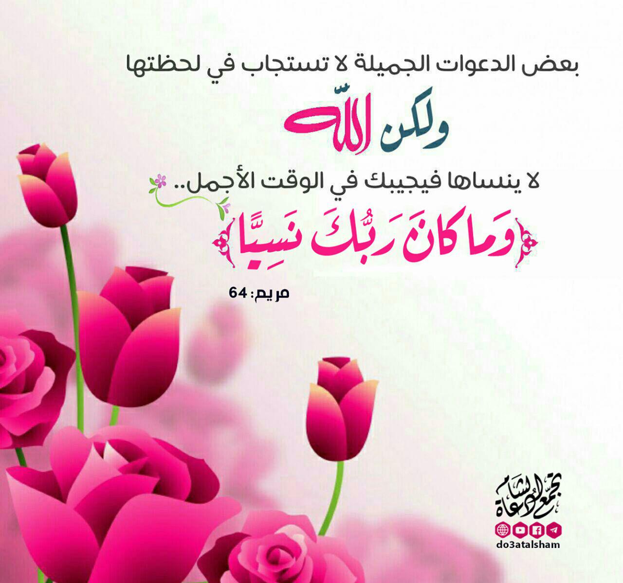 ملفات وبطاقات - وما كان ربك نسيا