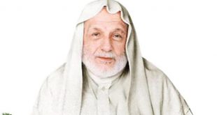 علي الطنطاوي