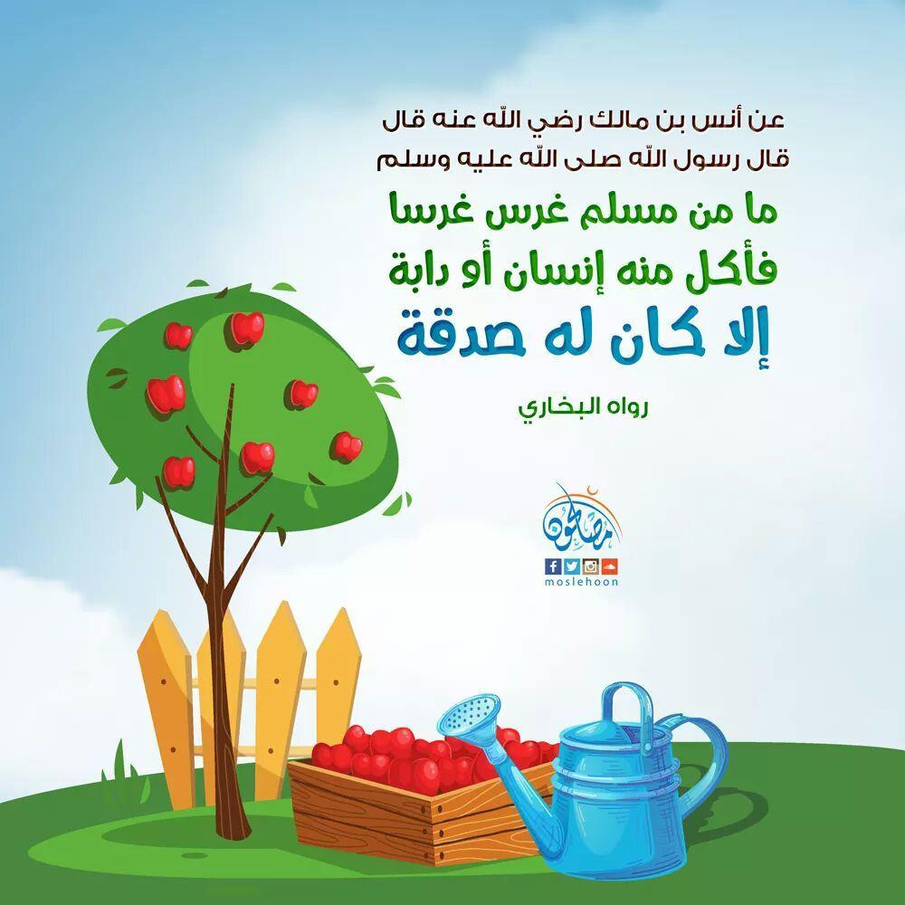 صدقة - صدقة