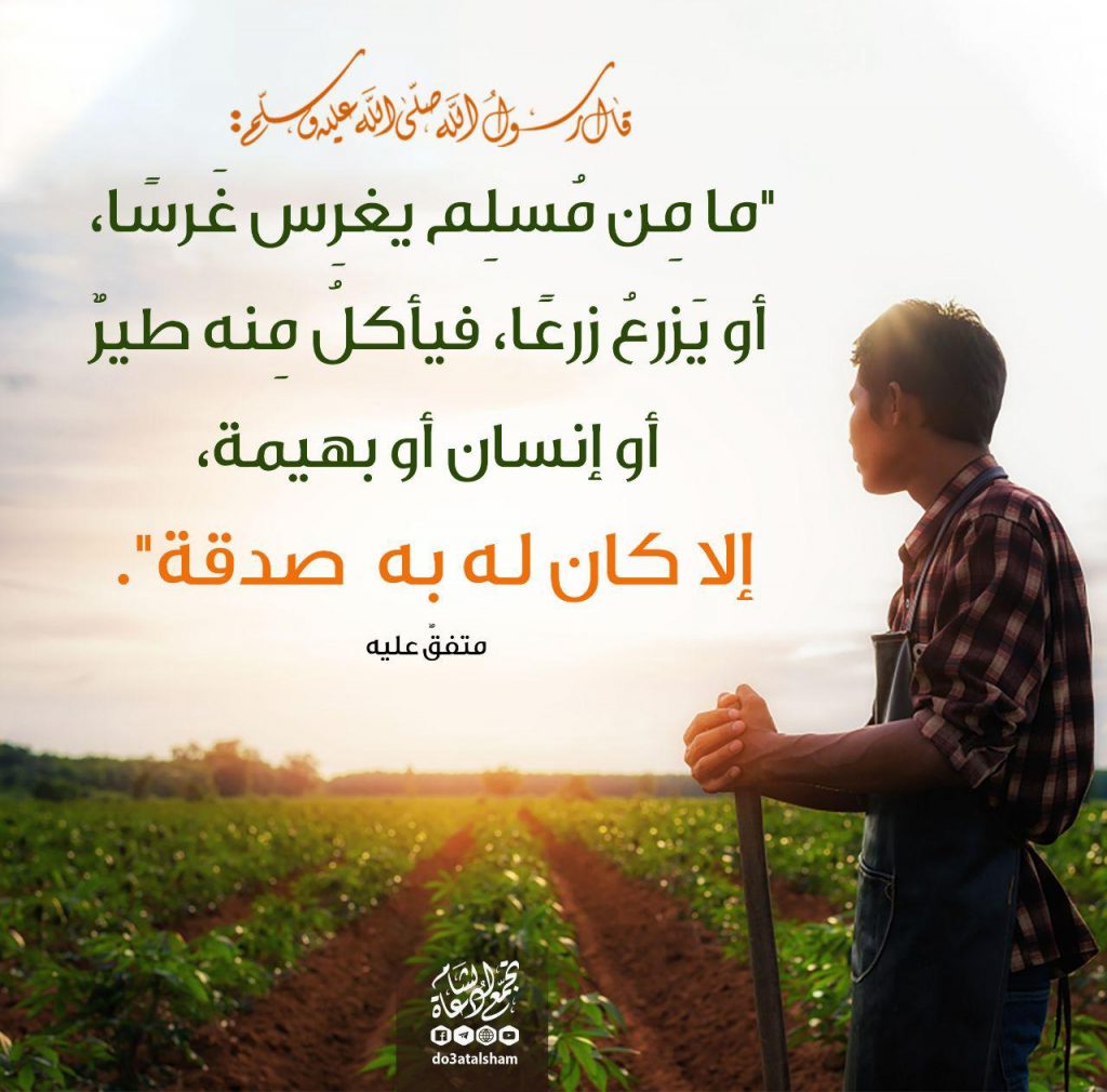 المجتمع المسلم - صدقة
