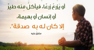 المجتمع المسلم - صدقة